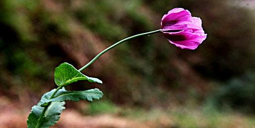 夏季游戏节新混剪预告 活动将于6月10日举办